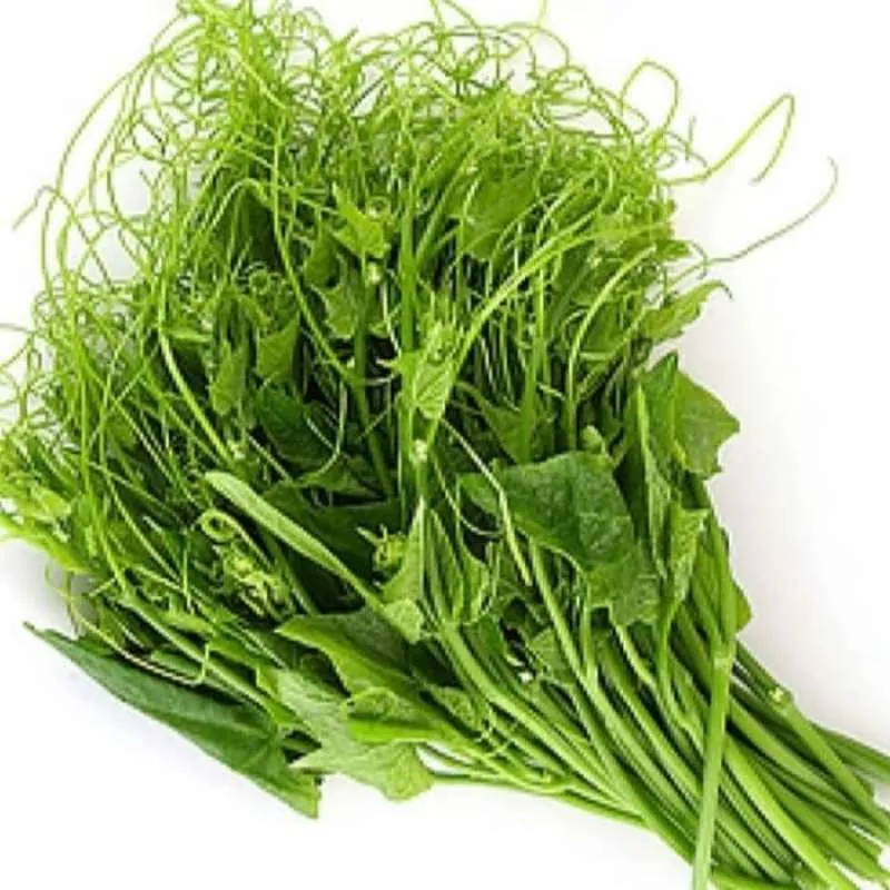 Pucuk Ropah / Daun labu Siam