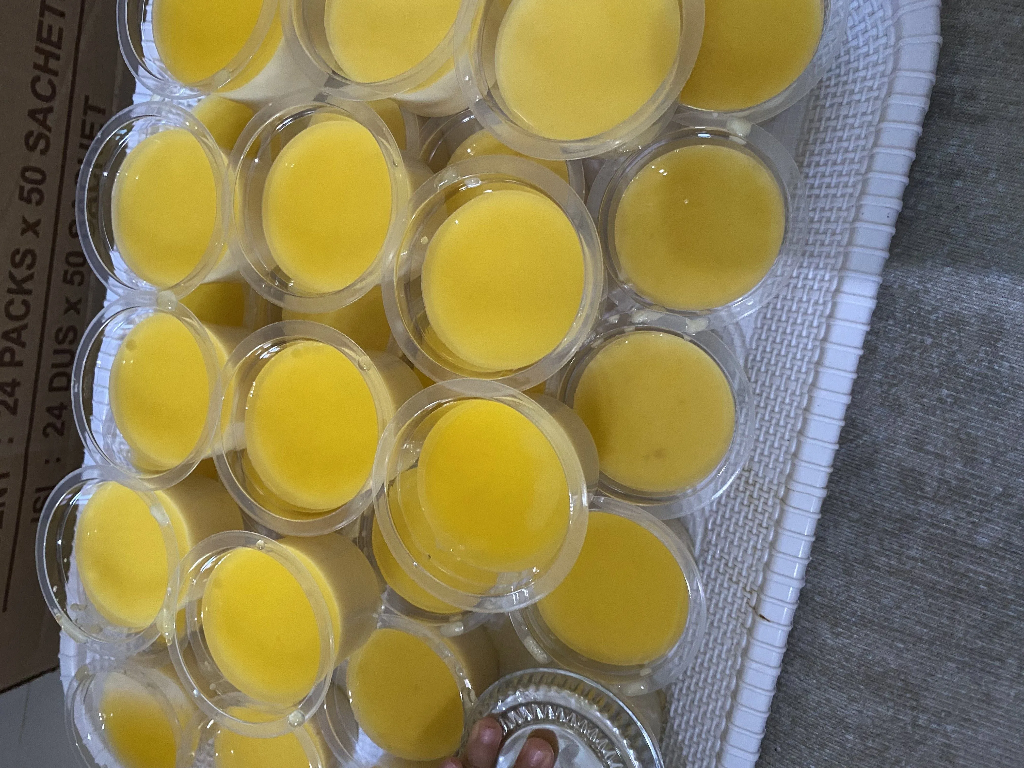 Puding sutra