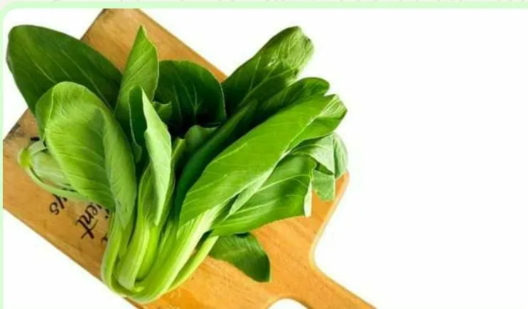 Sayur Pakcoy