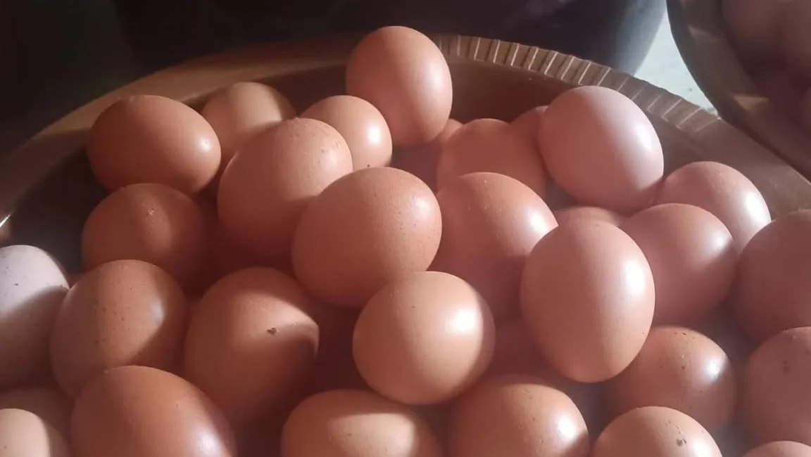 Selalu stok telur