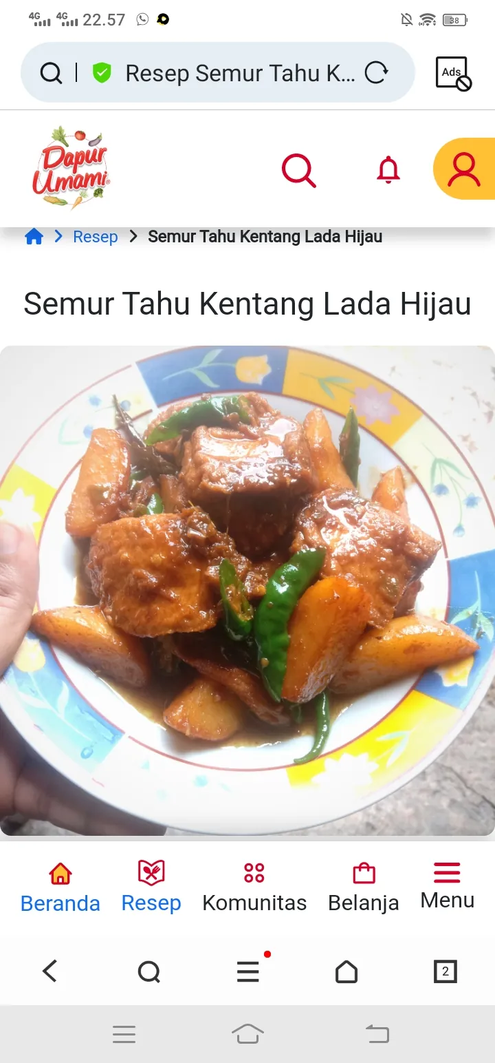 Semur tahu kentang lada hijau