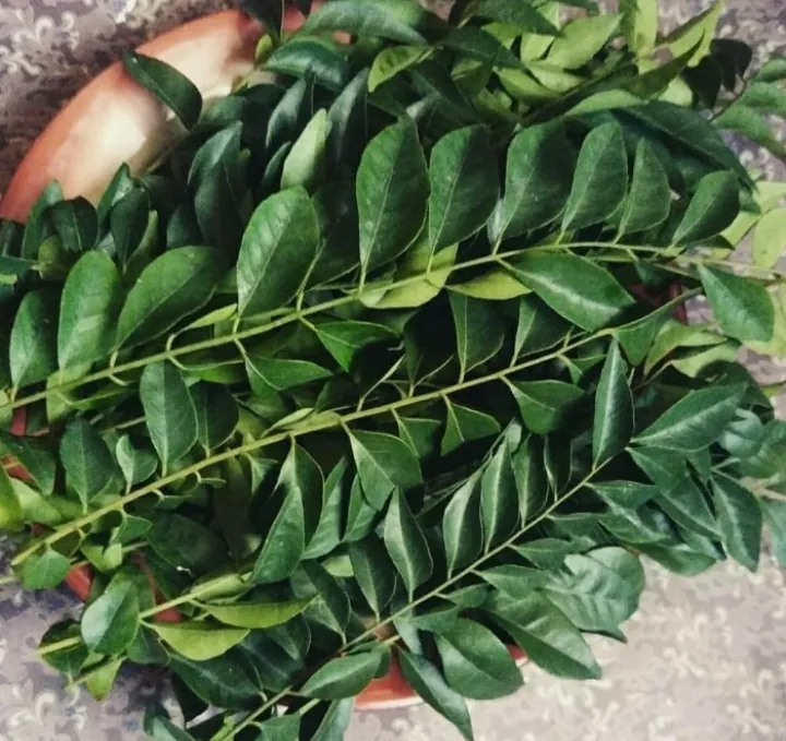 Si kari, Daun kecil beraroma khas