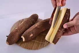 SINGKONG