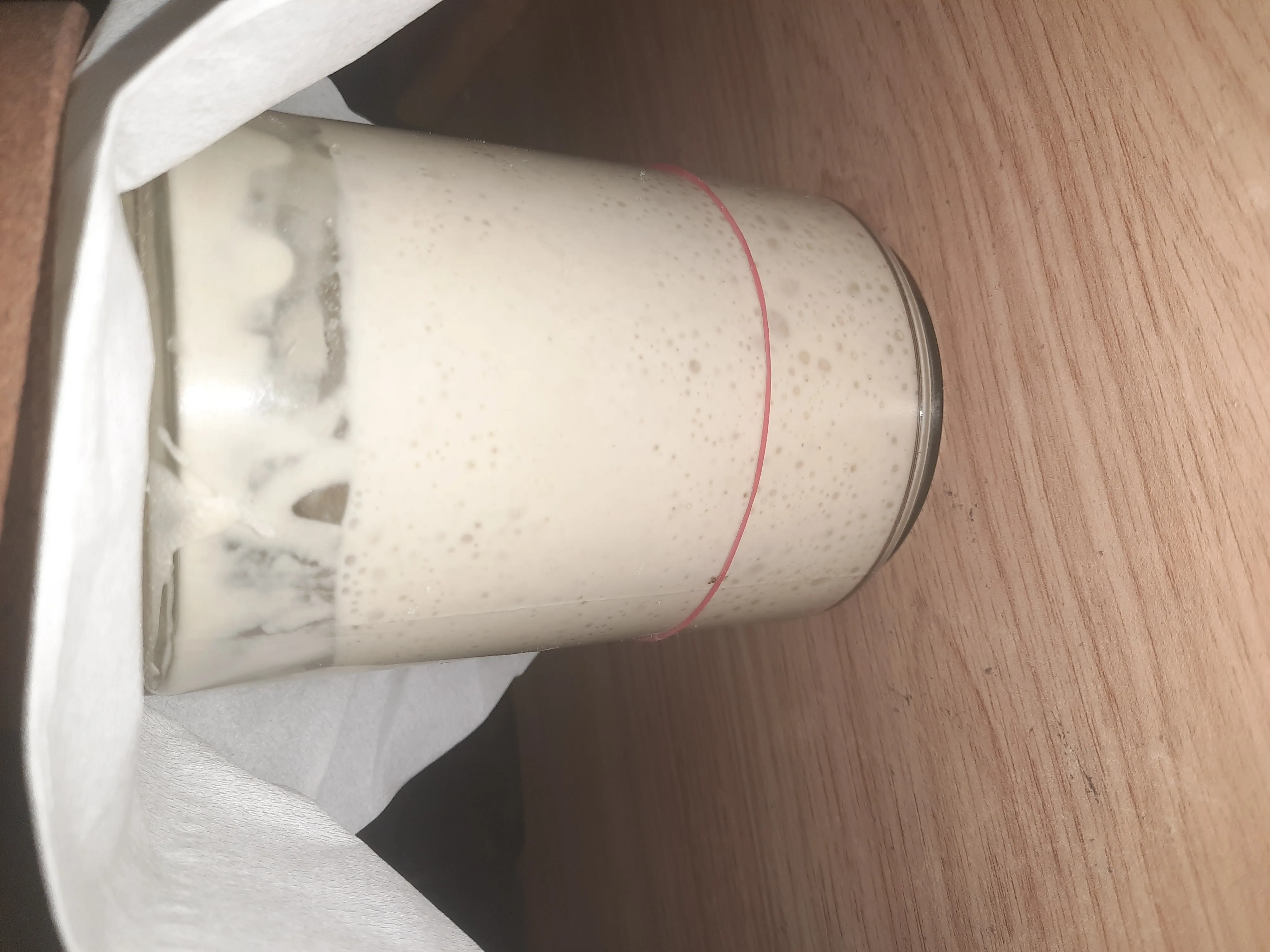 STARTER (Pengembang Roti Alami)