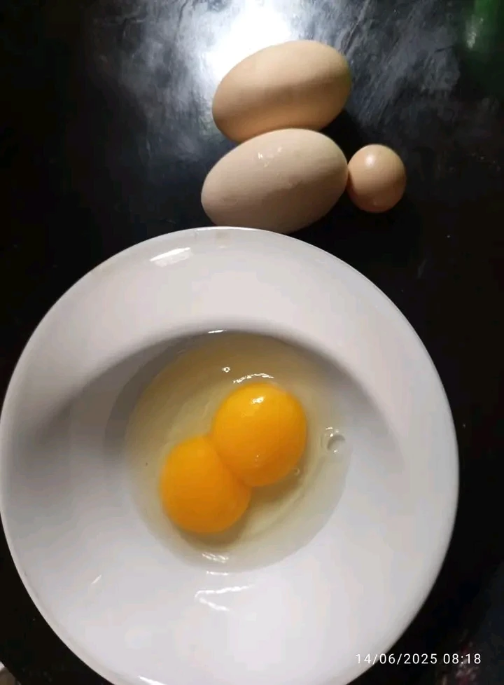 Telur omg