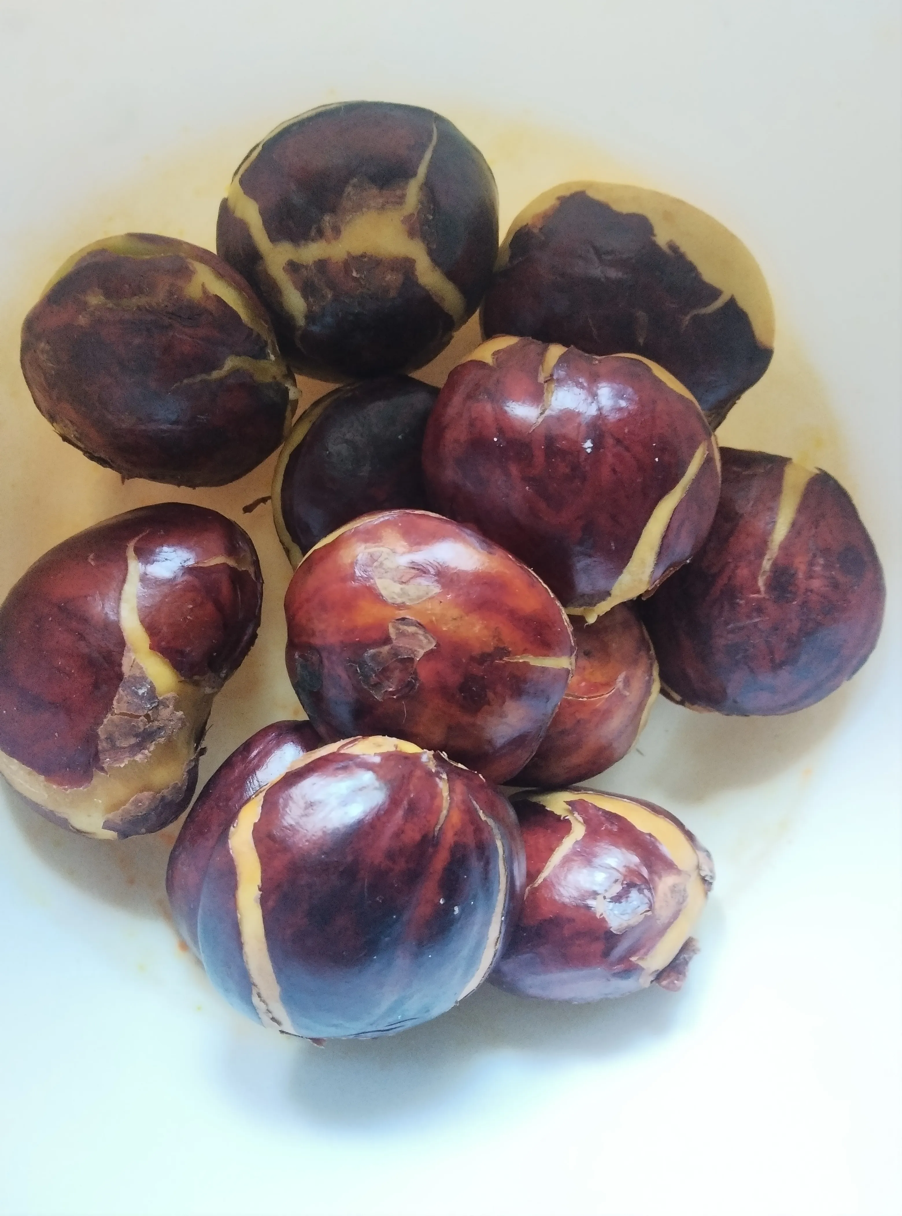 Tips agar jengkol empuk dan tidak bau