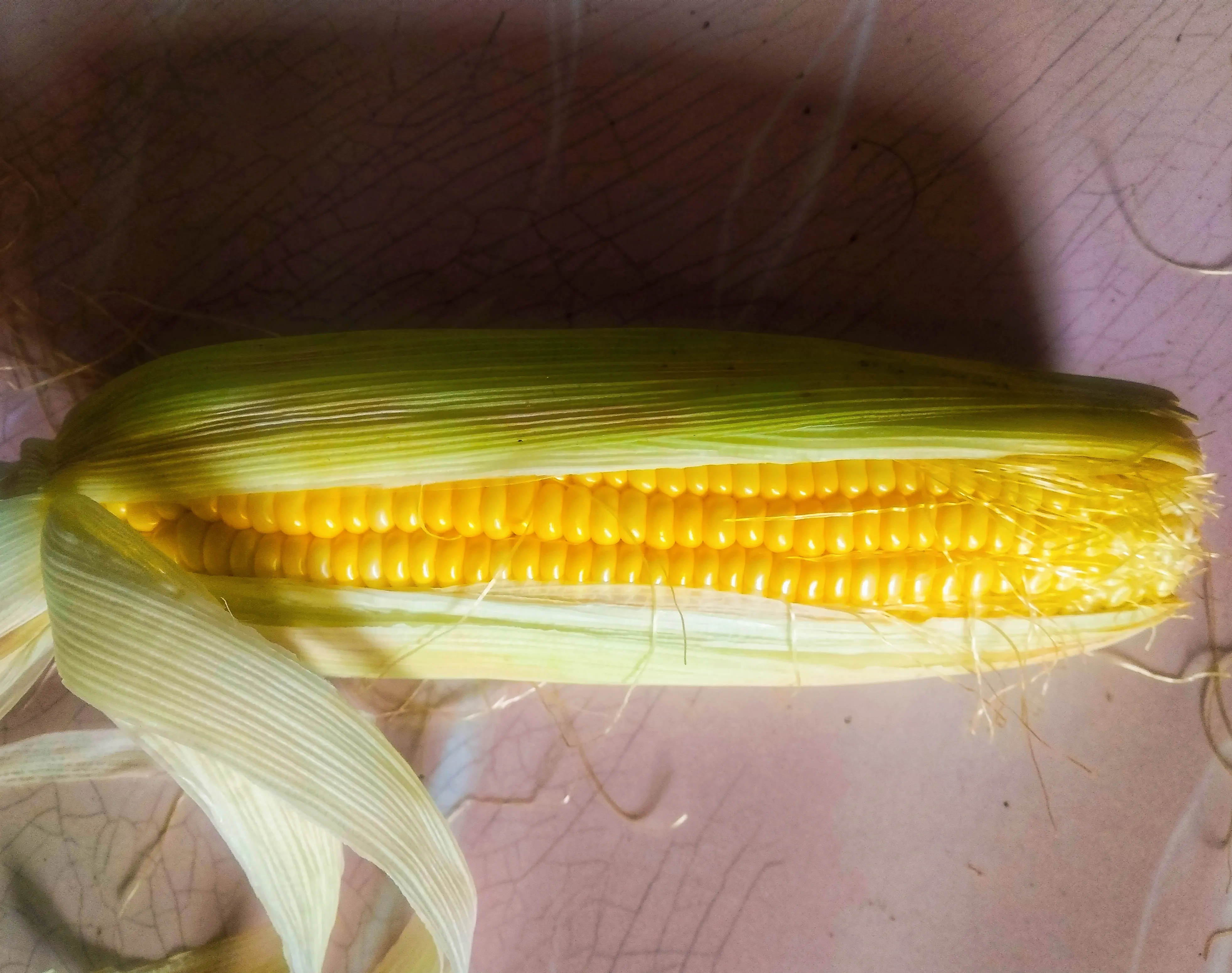 Tips memilih jagung yg manis dan matang.