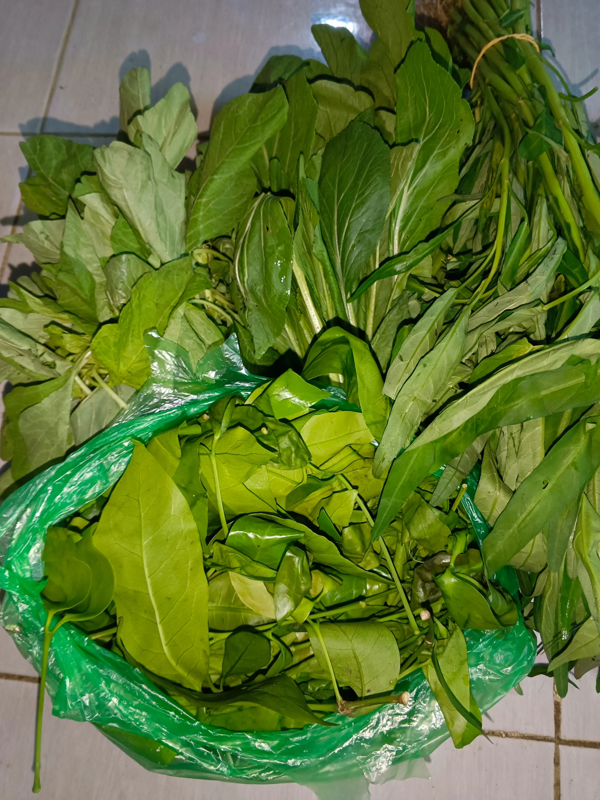 Tips Sayur Mayur untuk Dapur Sehat Maksimal