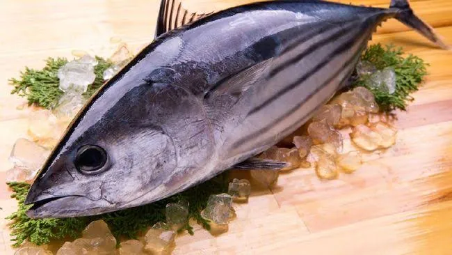 TUNA