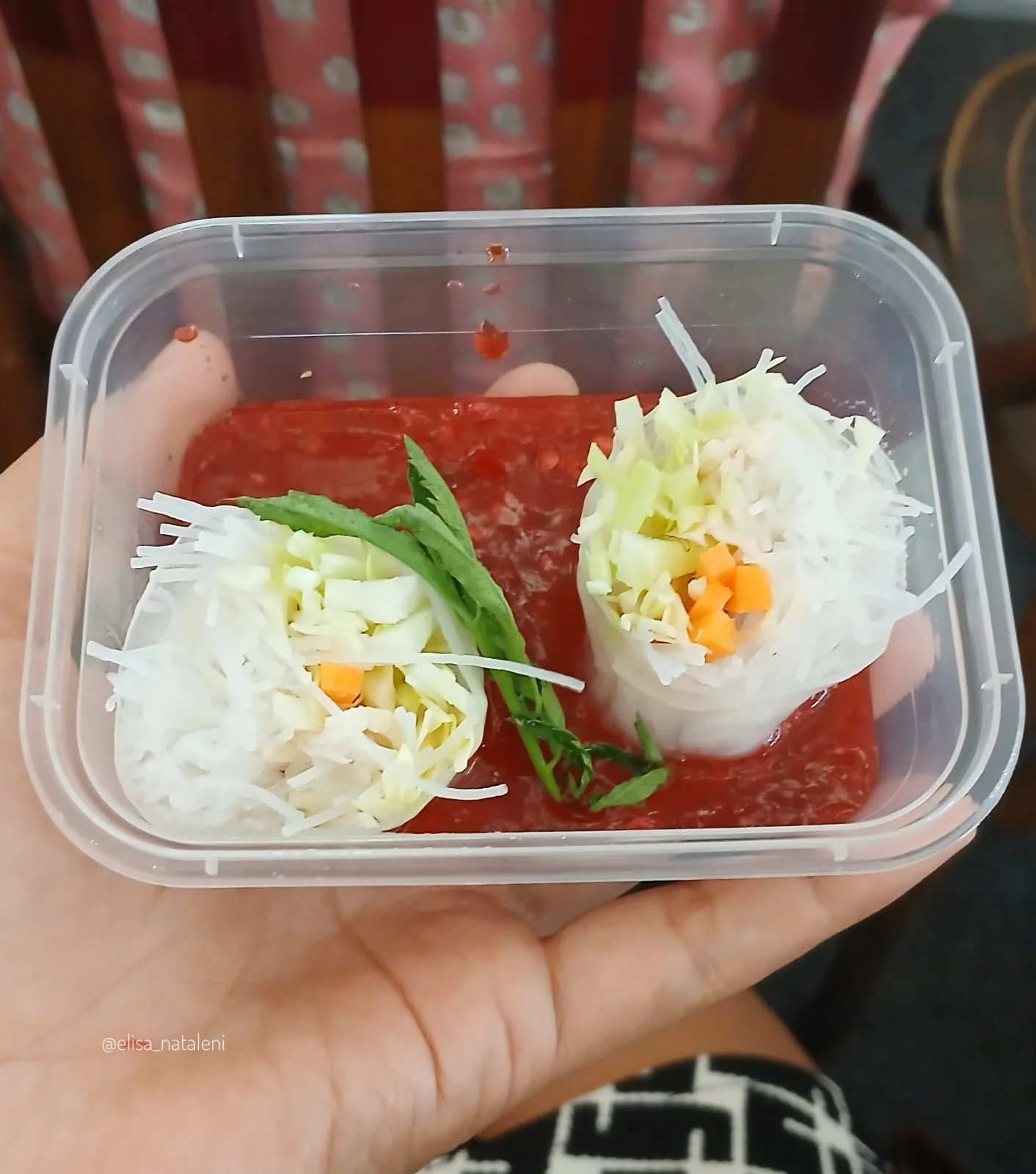 Vietnamese Spring Roll