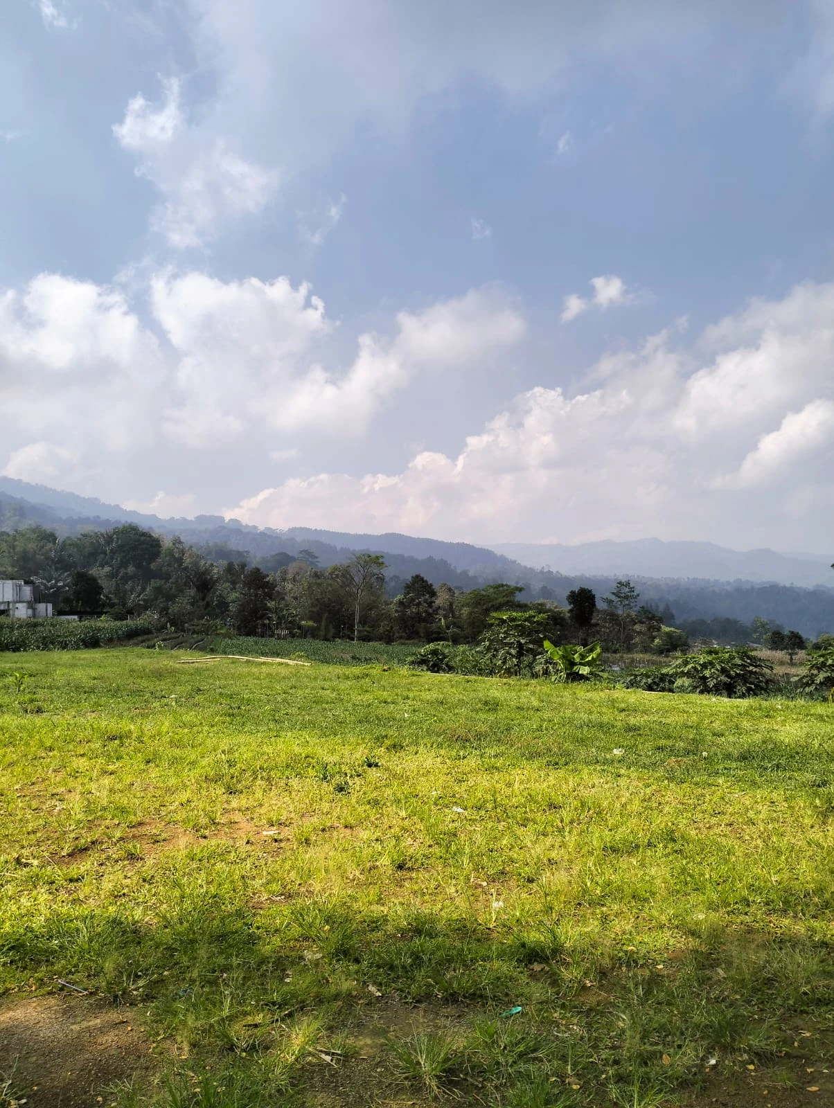 Warna hijau alam