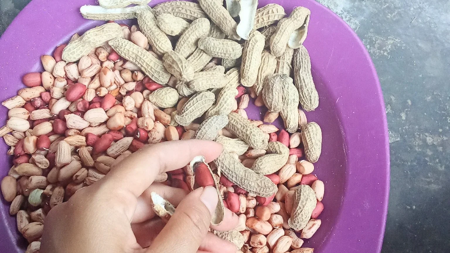 kacang tanah