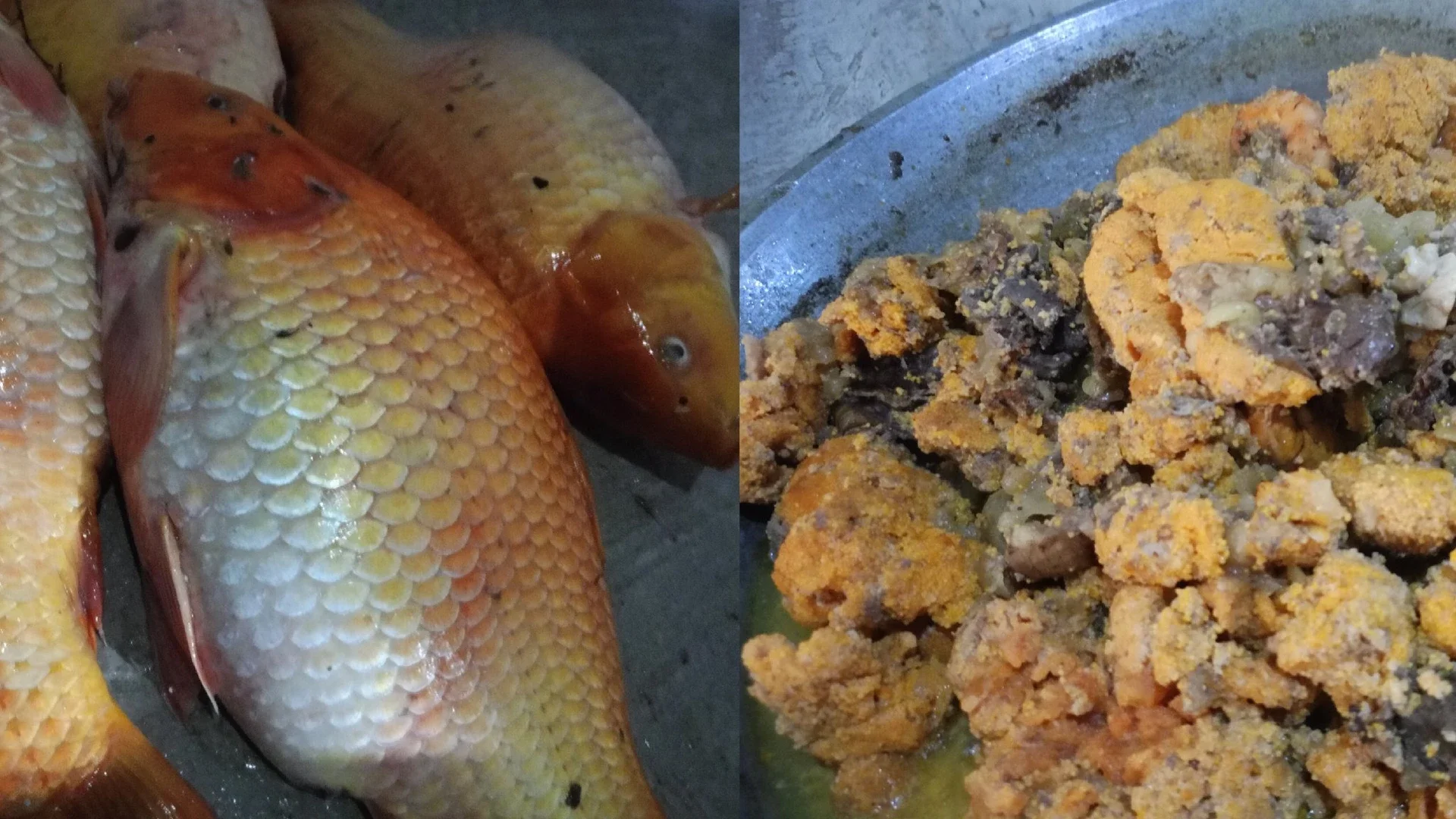 #KegiatanFavorit : Telur Ikan Mas Favorit Keluarga