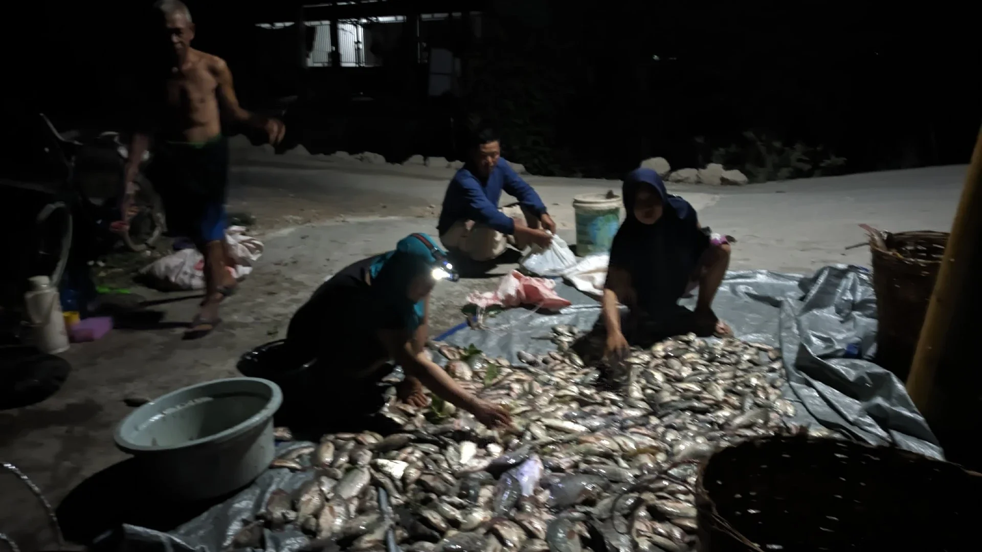 #KegiatanFavorit : Panen Ikan di Kampung