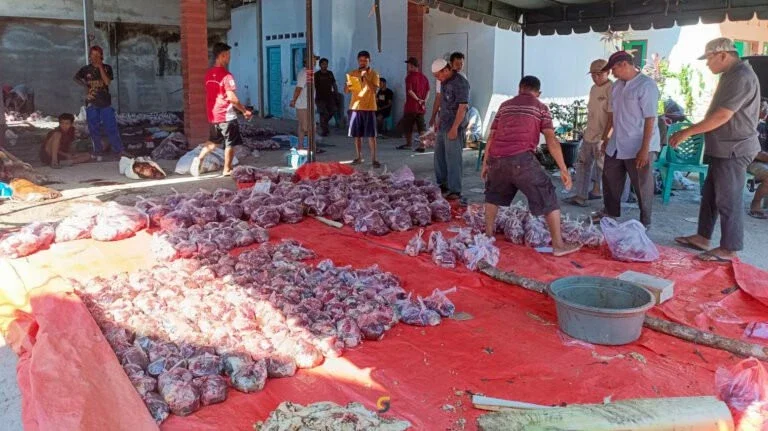Kekompakan panitia untuk tebar daging kurban #MaknaIduladha