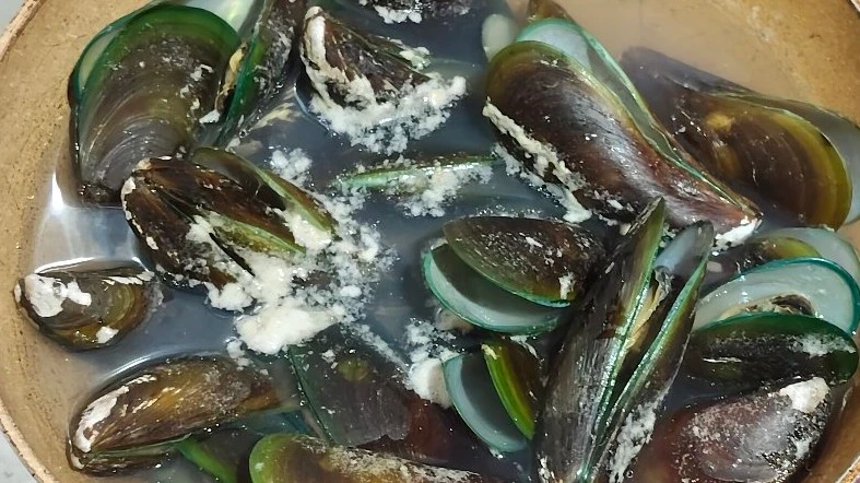Kerang Hijau untuk kesehatan