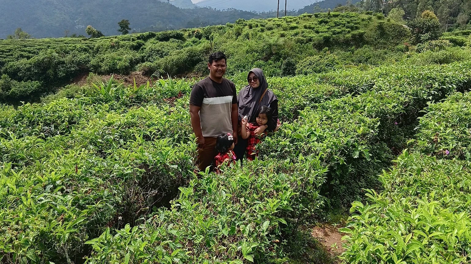 keseruan liburan ke kebun teh cikajang