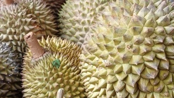 kurangi konsumsi durian #HidupLebihBaik