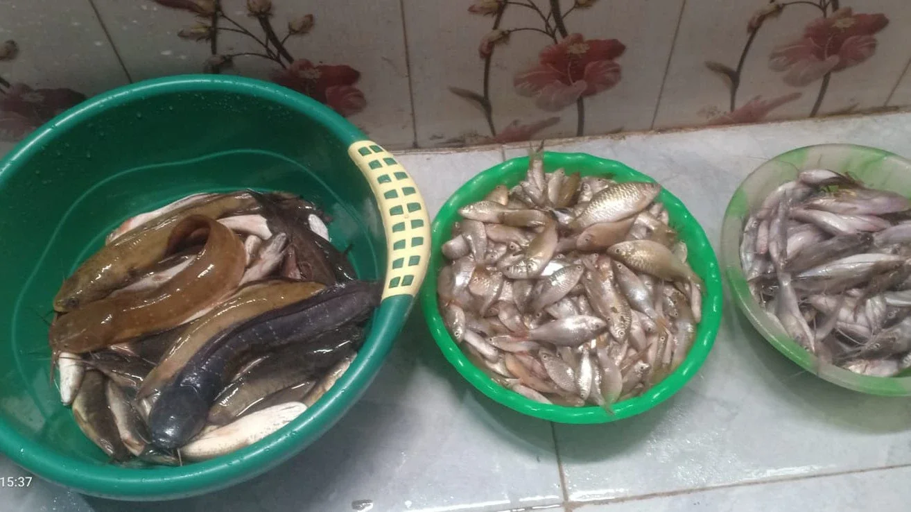 Kuras sungai