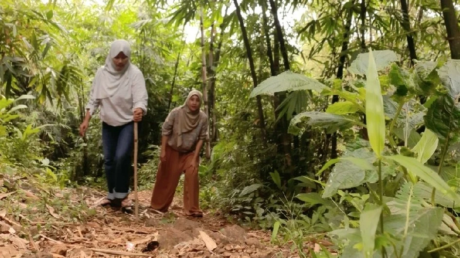 liburan nengok orang sakit