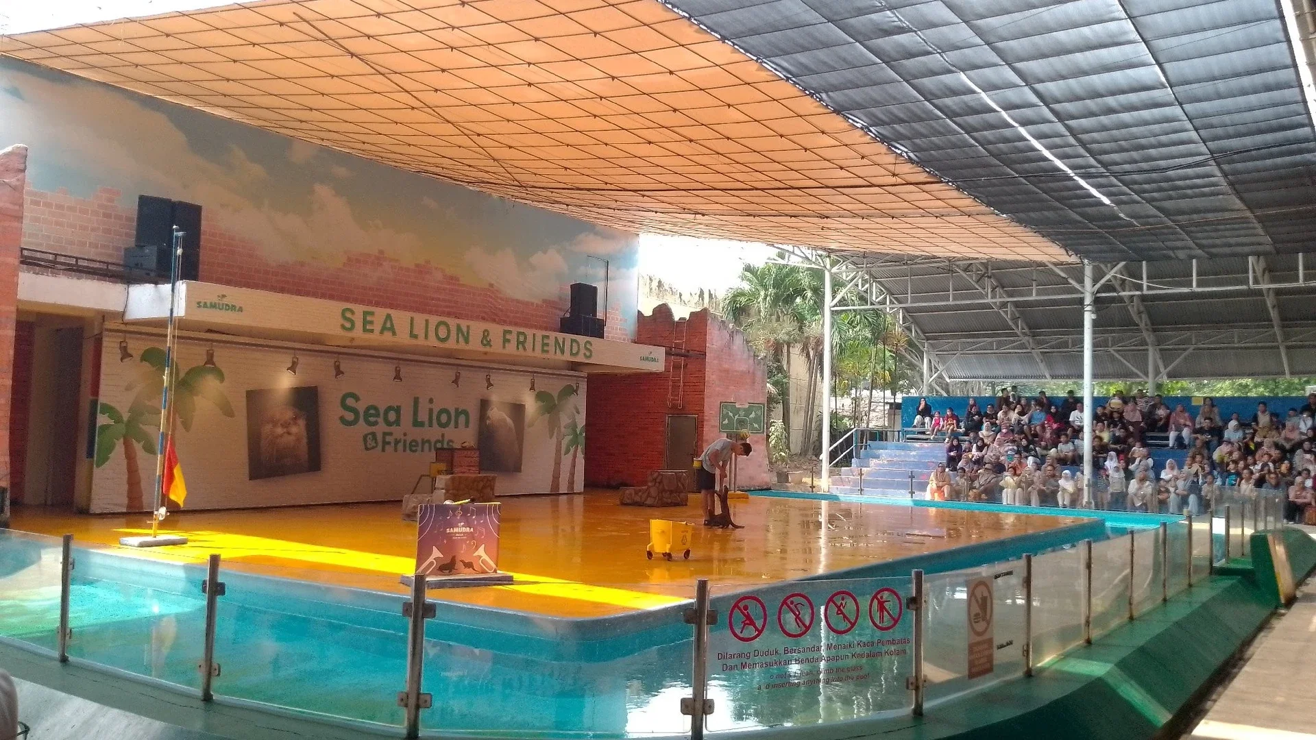 Lihat atraksi Sea Lion &Friends #KegiatanFavorit