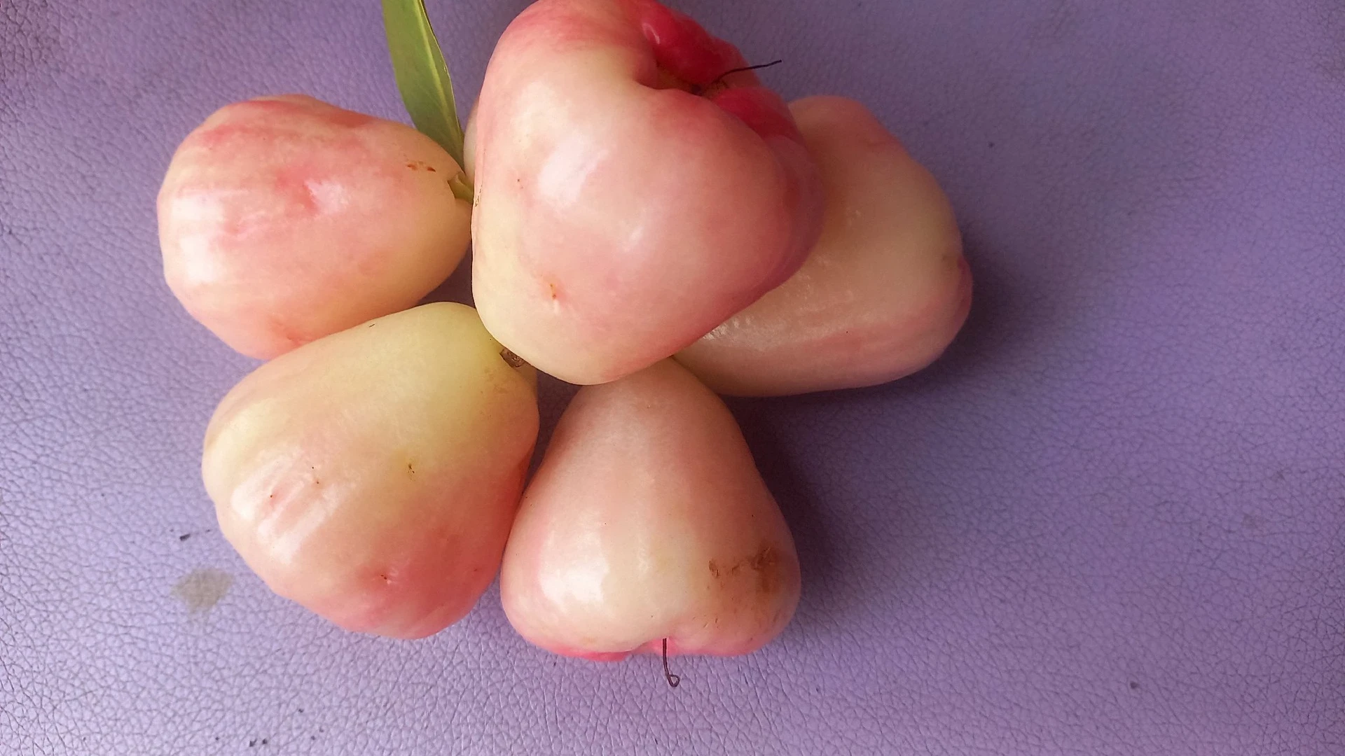 Makan Buah Jambu yang Banyak Manfaat #CeritaInspiratif
