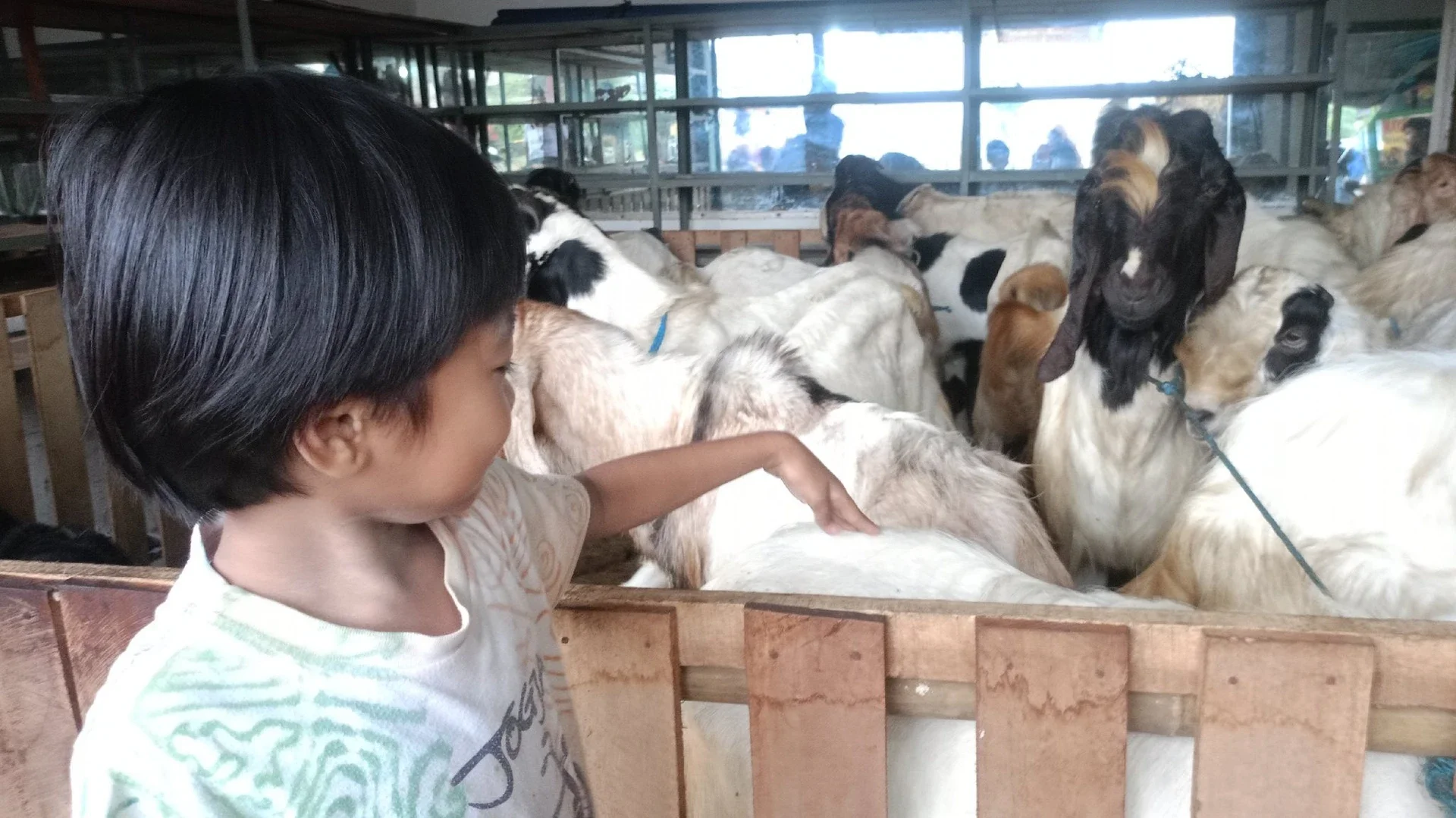 #MaknaIdulAdha : Saat Anak Belajar Arti Kurban