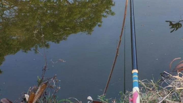 mancing mania