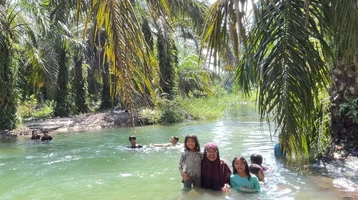 Mandi air sungai di tengah-tengah pohon sawit #KegiatanFavorit