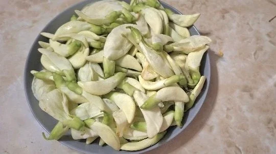 Manfaat Kembang Turi