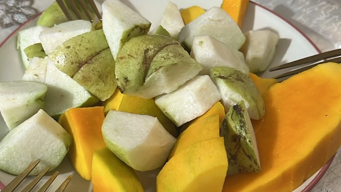 Mangga atau Jambu