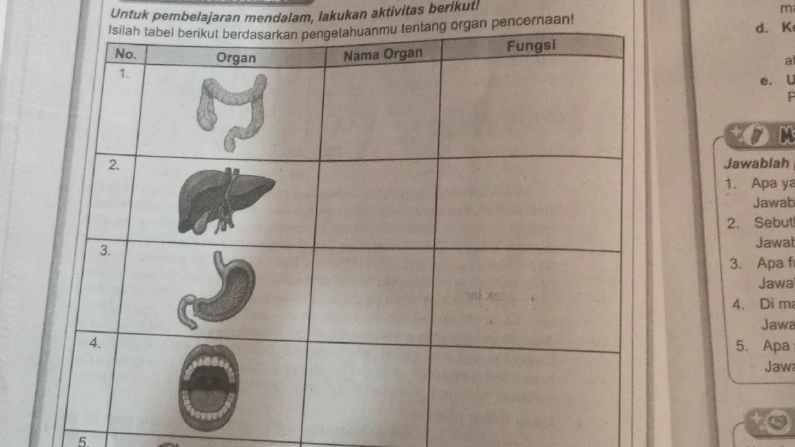 mau ngapain ya?