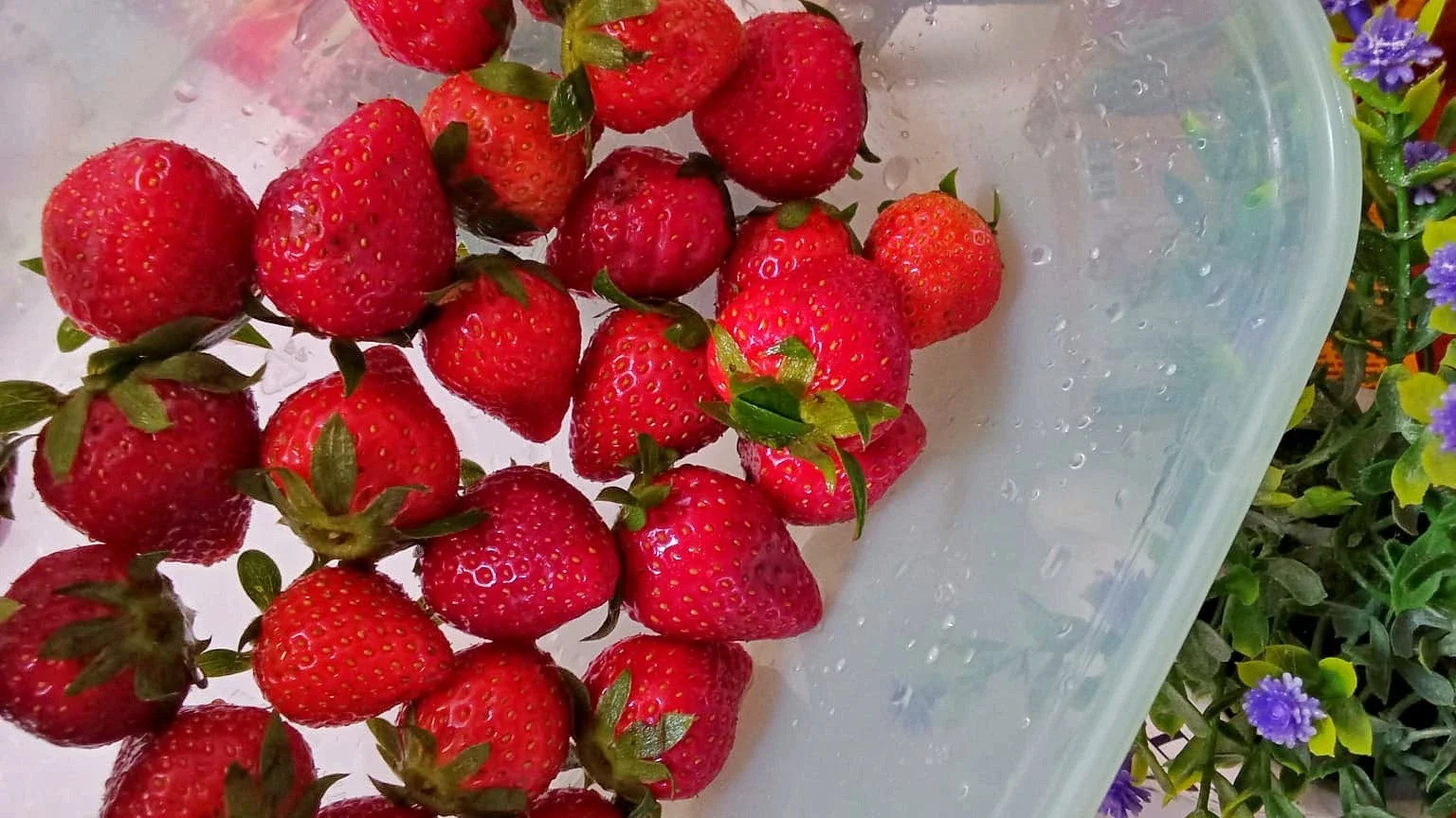 #mealplanumamichi penyimpanan strawberry untuk selai homemade