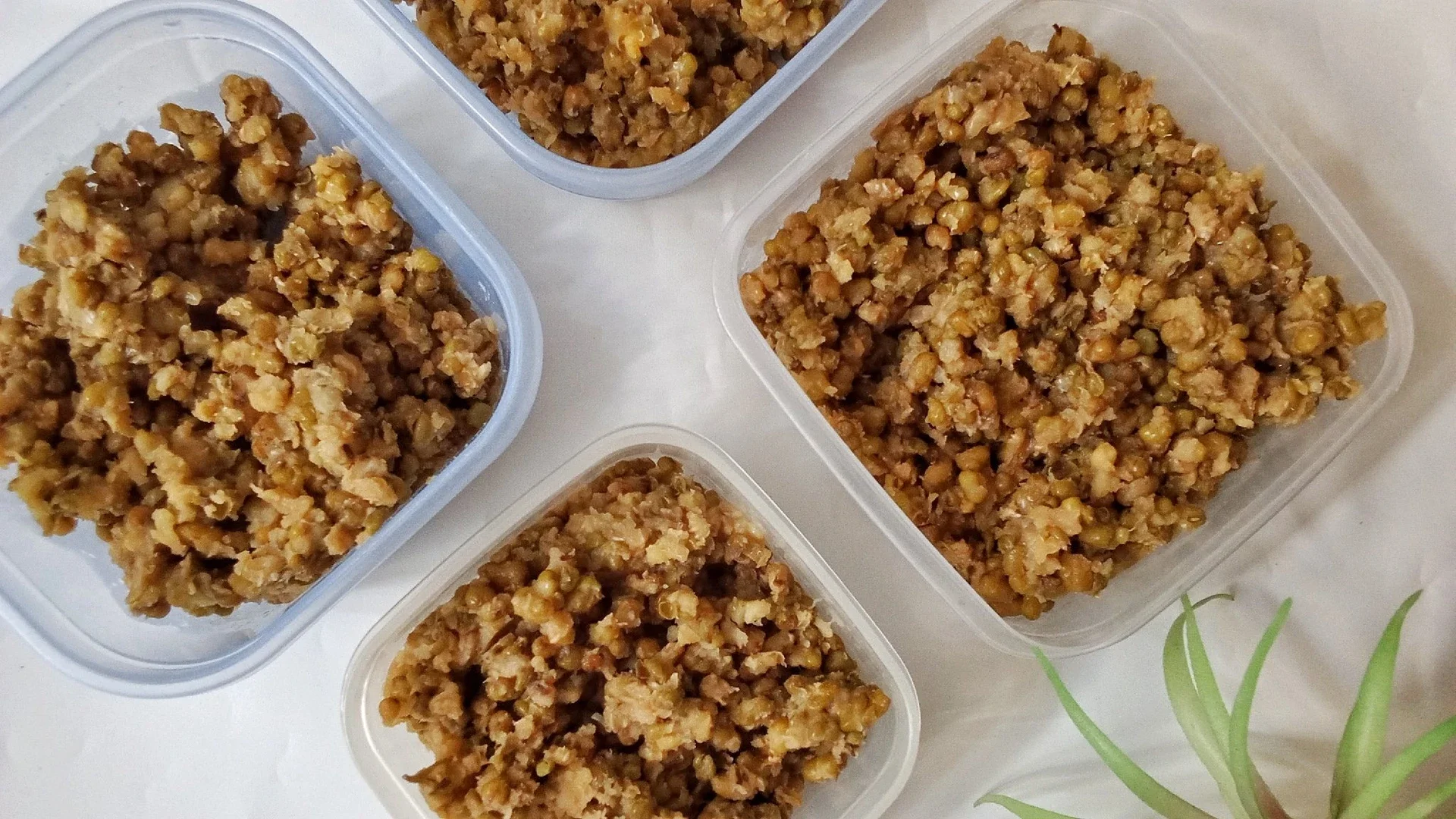 #mealplanumamichi stok kacang hijau