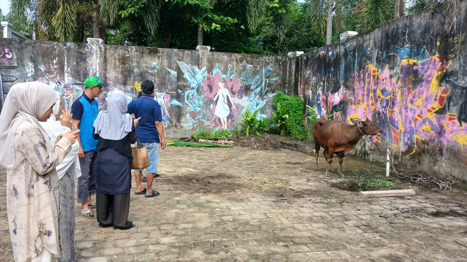 Melihat Sapi Kurban di Tempat Tinggalku #MaknaIdulAdha