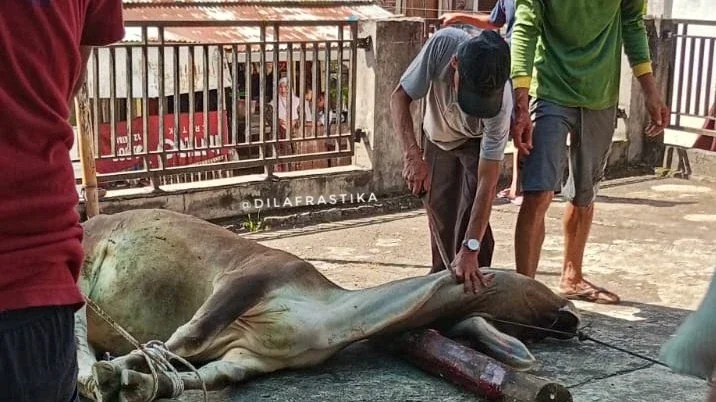 Memaknai Idul Adha #MaknaIdulAdha