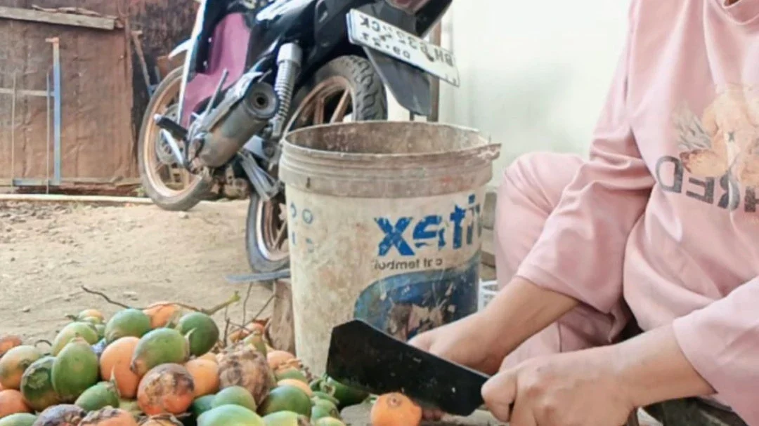Membelah Pinang Hasil Kebun Sendiri #KegiatanFavorit