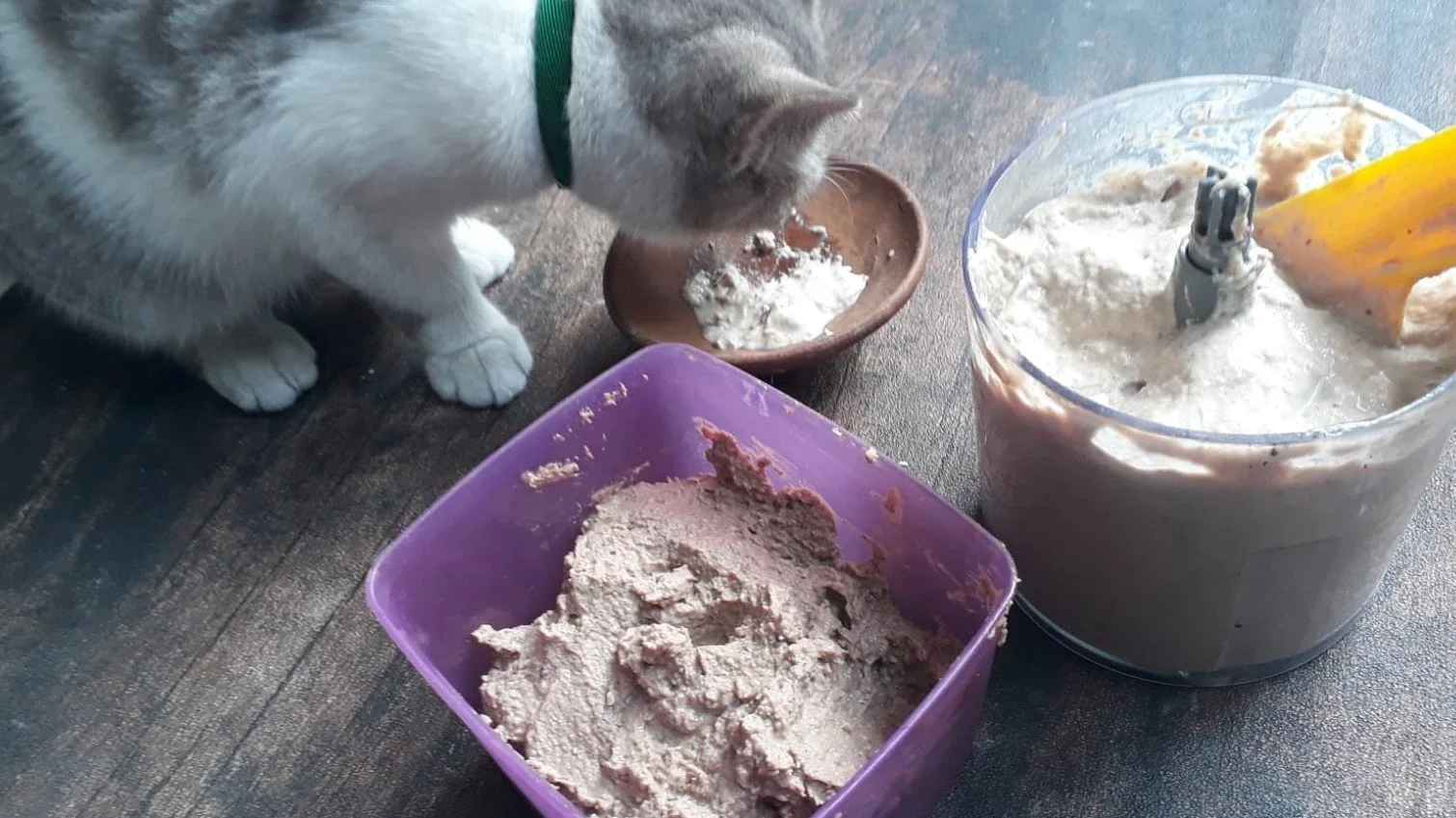 Membuat Pakan Basah Homemade
