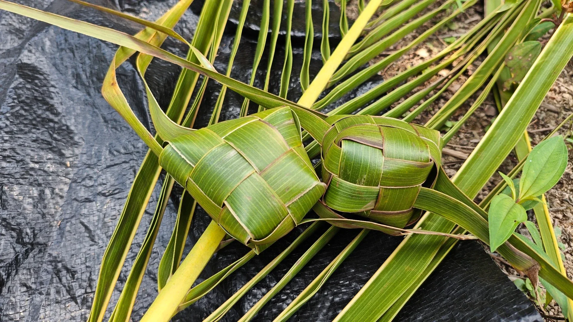 Membuat Sarang Ketupat