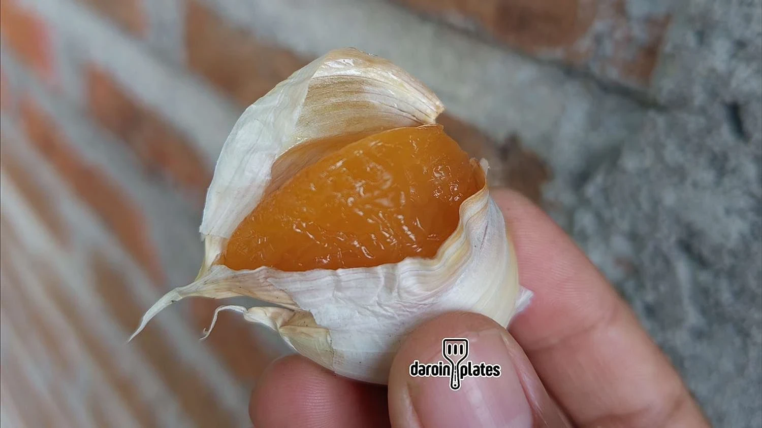 Menemukan Bawang Berwarna Emas, Apakah Boleh Dimakan?