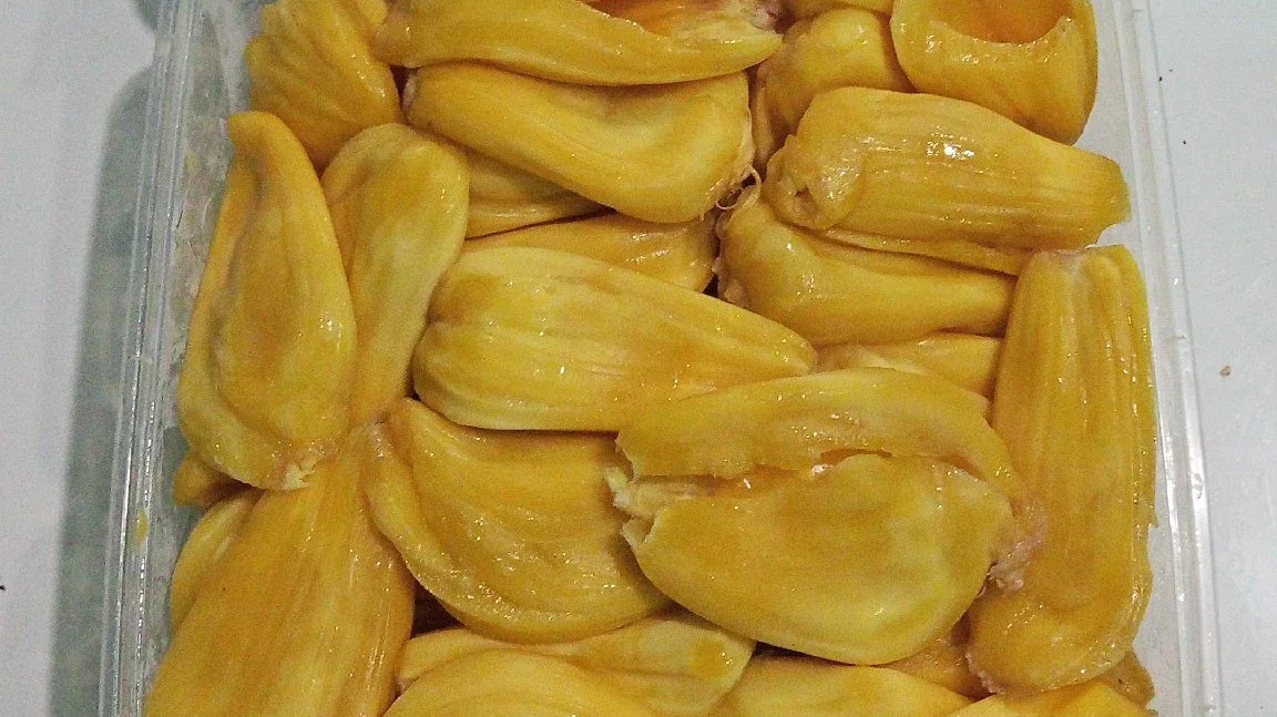 nangka frozen