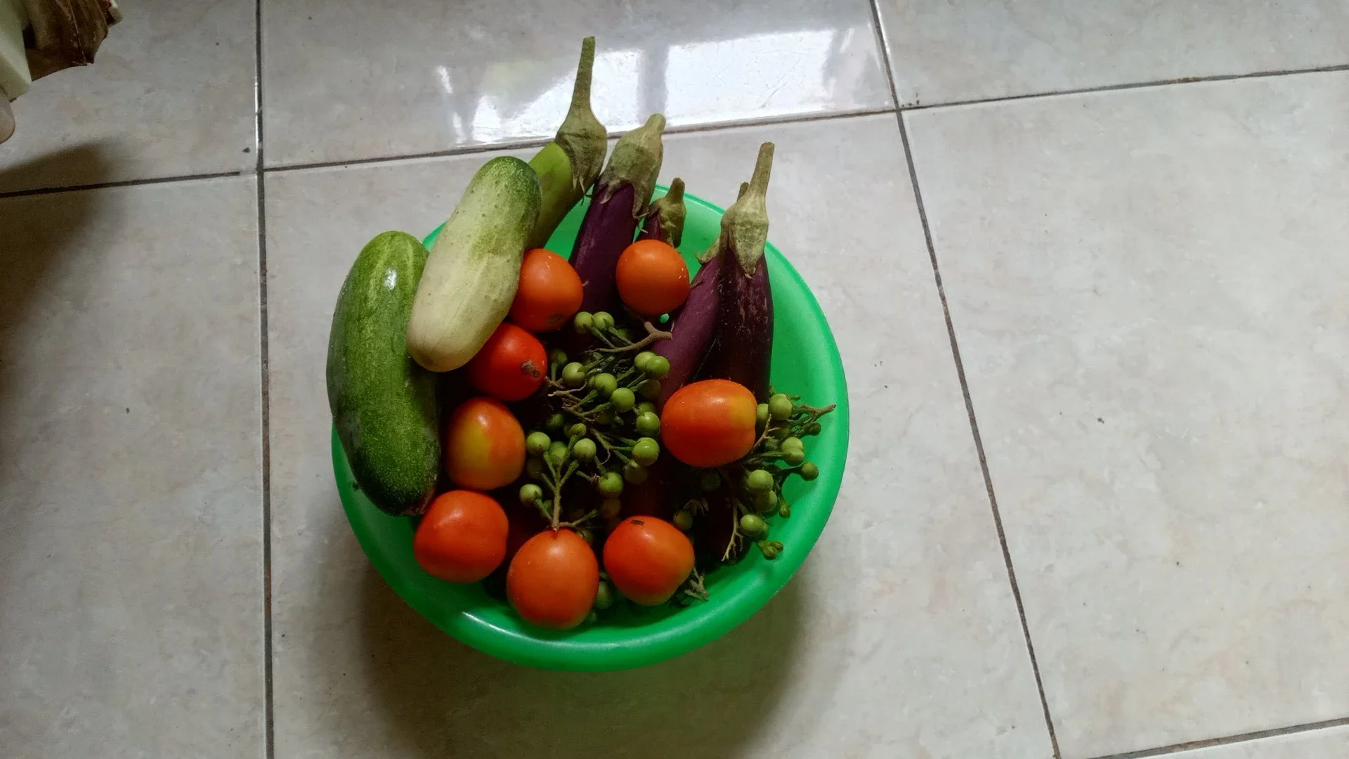 Panen Sayur Di Kebun Rumah #KegiatanFavorit