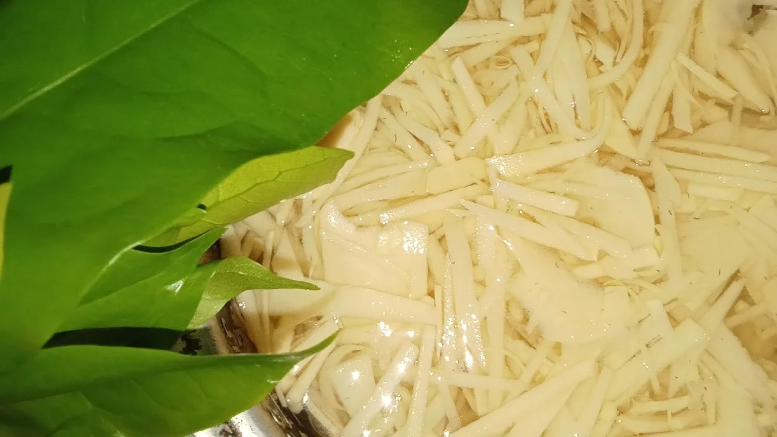 Penyebab Keracunan Sayur Rebung