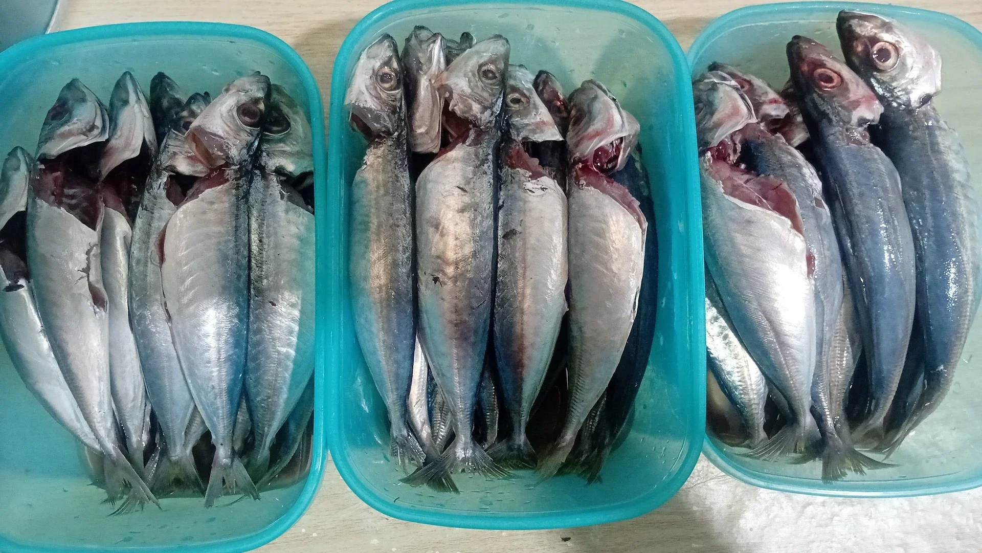 Pesona Ikan Serai, Beda Rasa Beda Harga