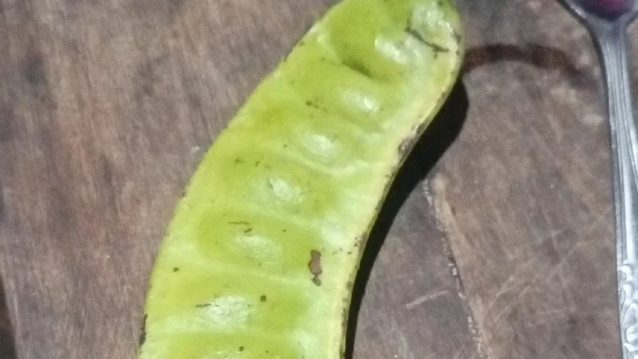pete