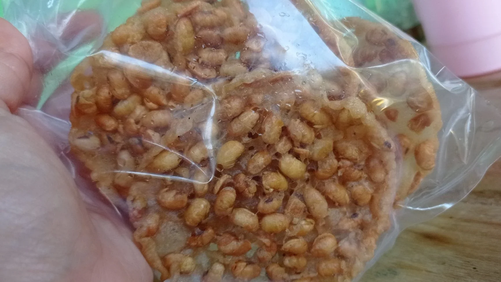 petek kacang kedelai