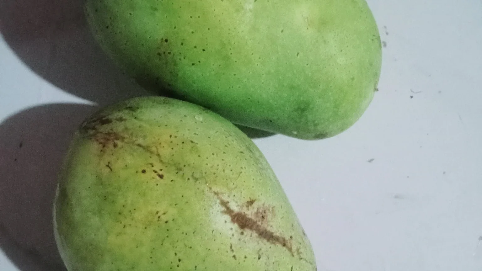 petik mangga depan rumah