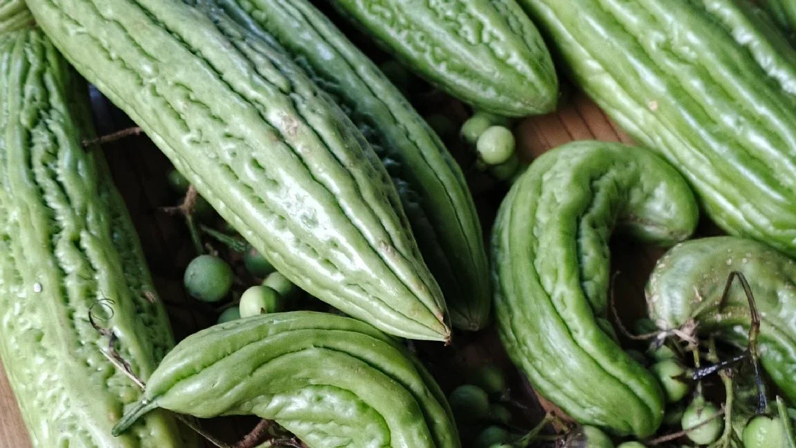 petik sayur