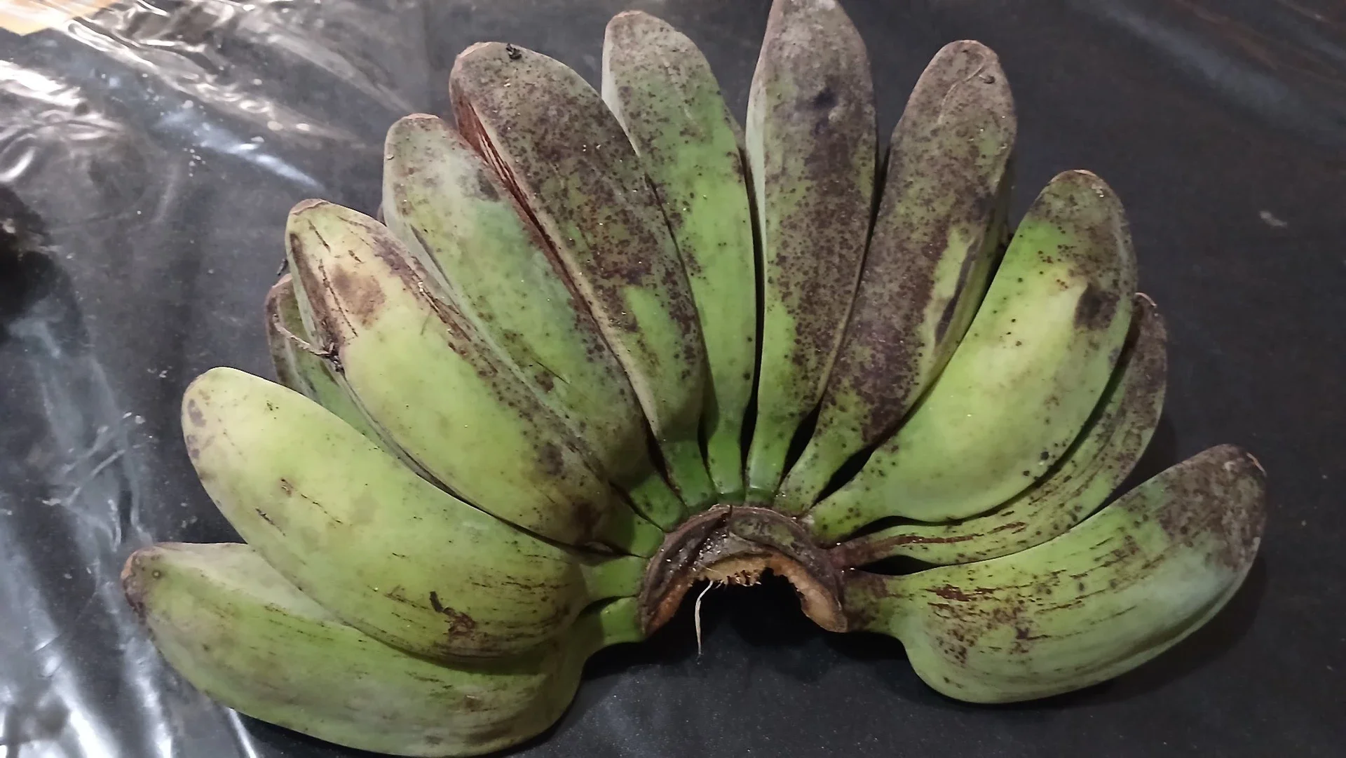 Pisang Kepok Muda