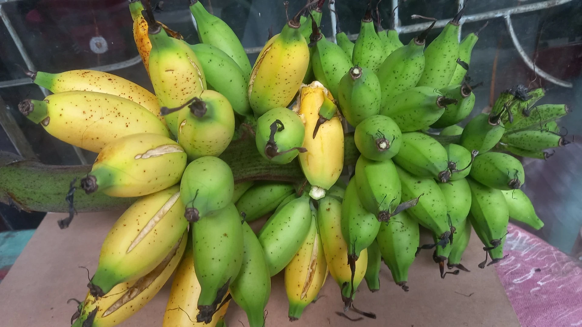 🍌 Pisang Sederhana, Manfaat Luar Biasa #CeritaInspiratif